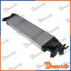 Intercooler pour SUZUKI | CCL-SU-000, 309116